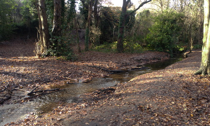 Brook