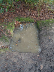 Hobbit grave?