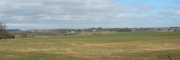 Landscape