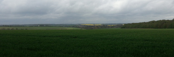 Landscape