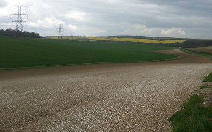 Chalky fields