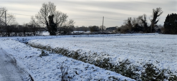 Ditch