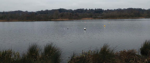 Across the lake