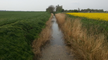 Ditch