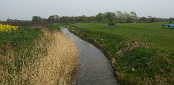 Ditch