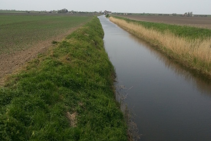 Ditch
