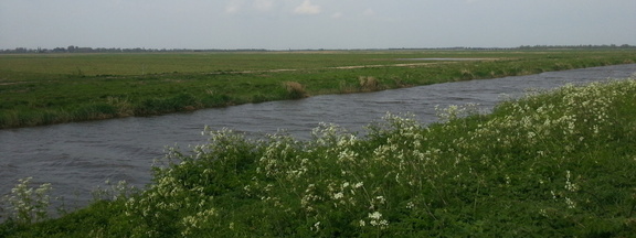 Across the river