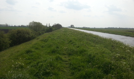 Along the bank