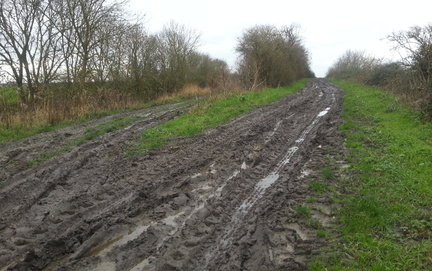 Muddy path