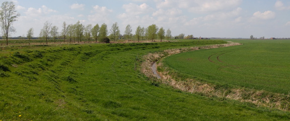 Meander