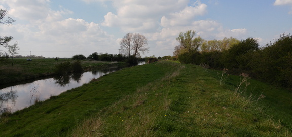 Missing bridge