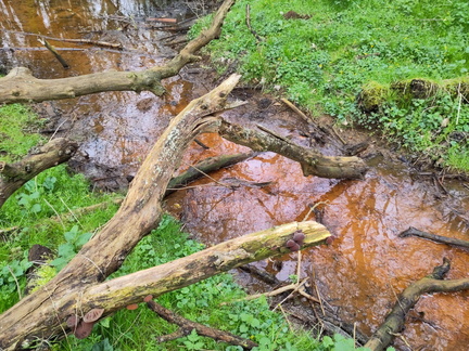 Stream