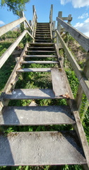 Steps