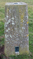 Triangulation pillar