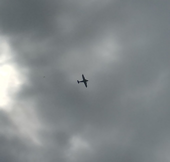 Plane
