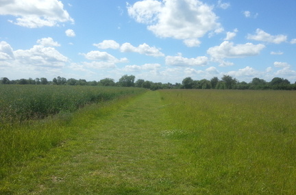 Path