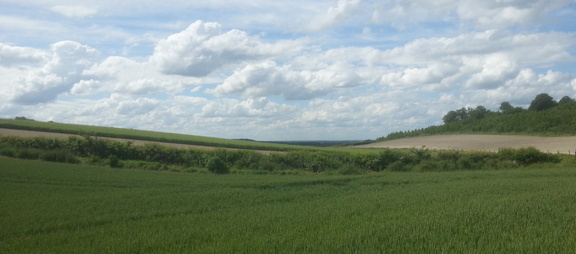 Field