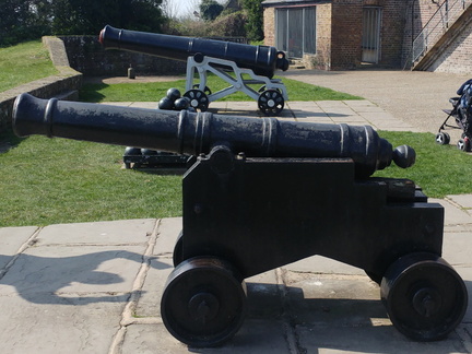 Cannon