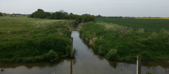 Stream