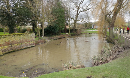 Pond