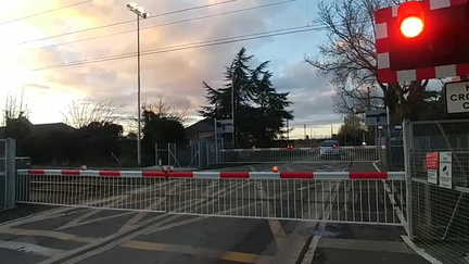 Train