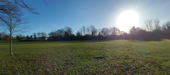 Field