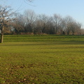 Mound