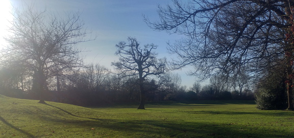 Field
