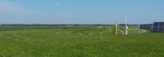 Towards Ely