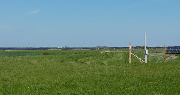 Towards Ely