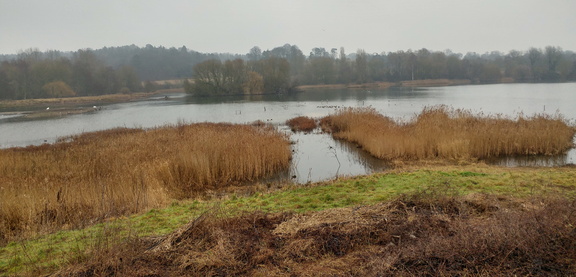 Nature reserve