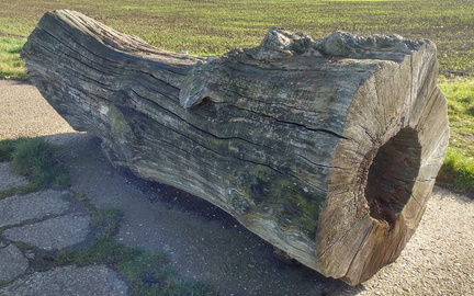 Log