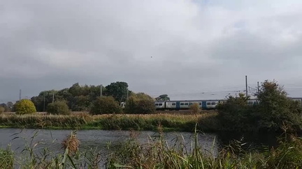 Train