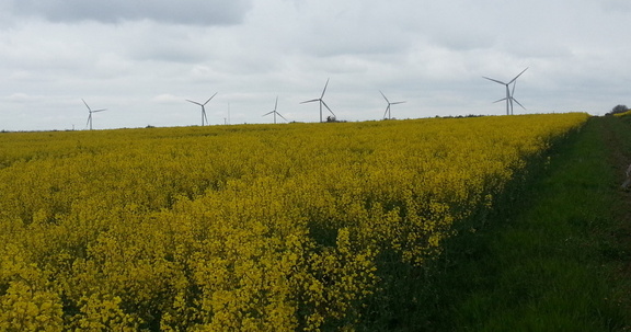 Fields and turbines