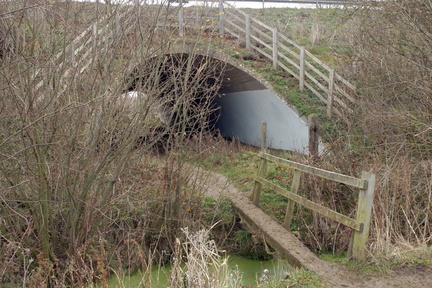 Rickety bridge
