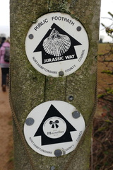Routes