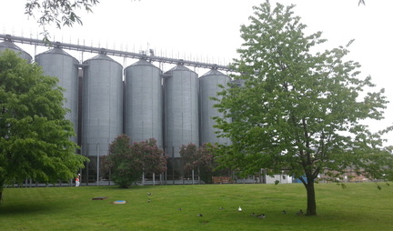 Silos and Ducks