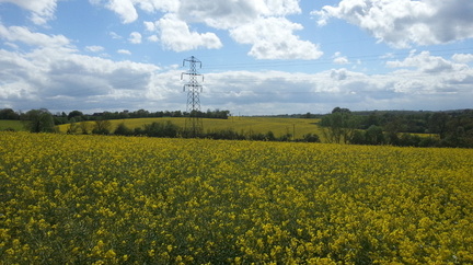 Fields