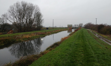 End of the lode