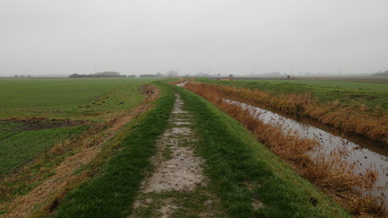 Along the lode