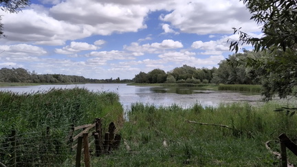 Lake