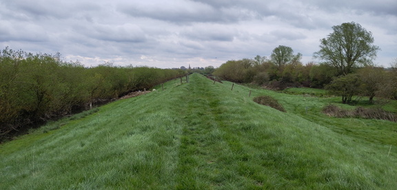 Along the bank