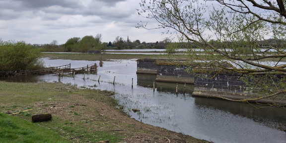 Missing bridge