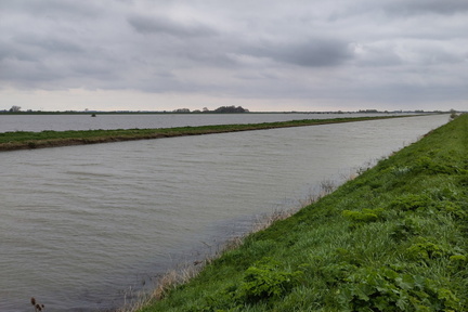 Ouse Washes