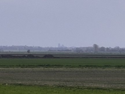 Ely