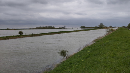 Ouse Washes