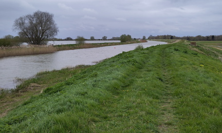 Meander