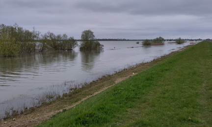 Ouse Washes