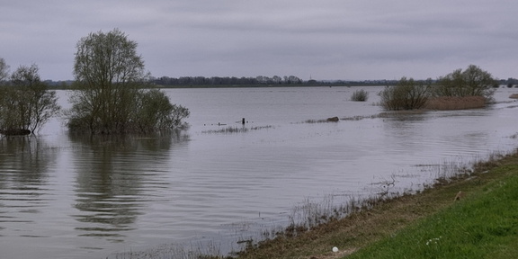 Ouse Washes