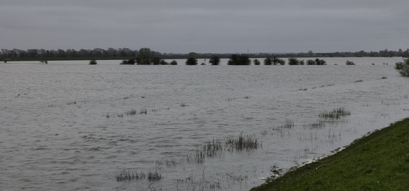 Ouse Washes